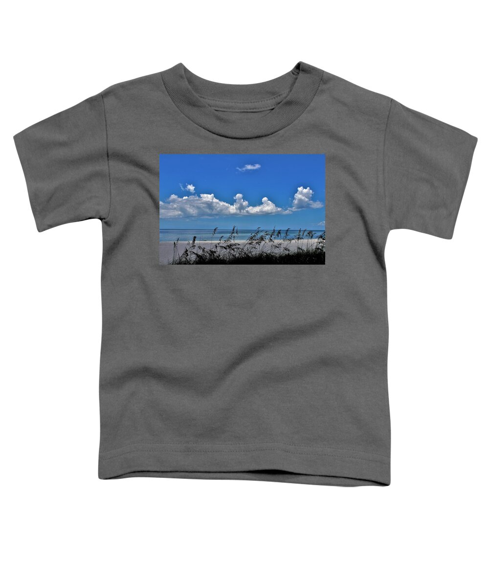  Toddler T-Shirt featuring the photograph Naples Beach by Donn Ingemie