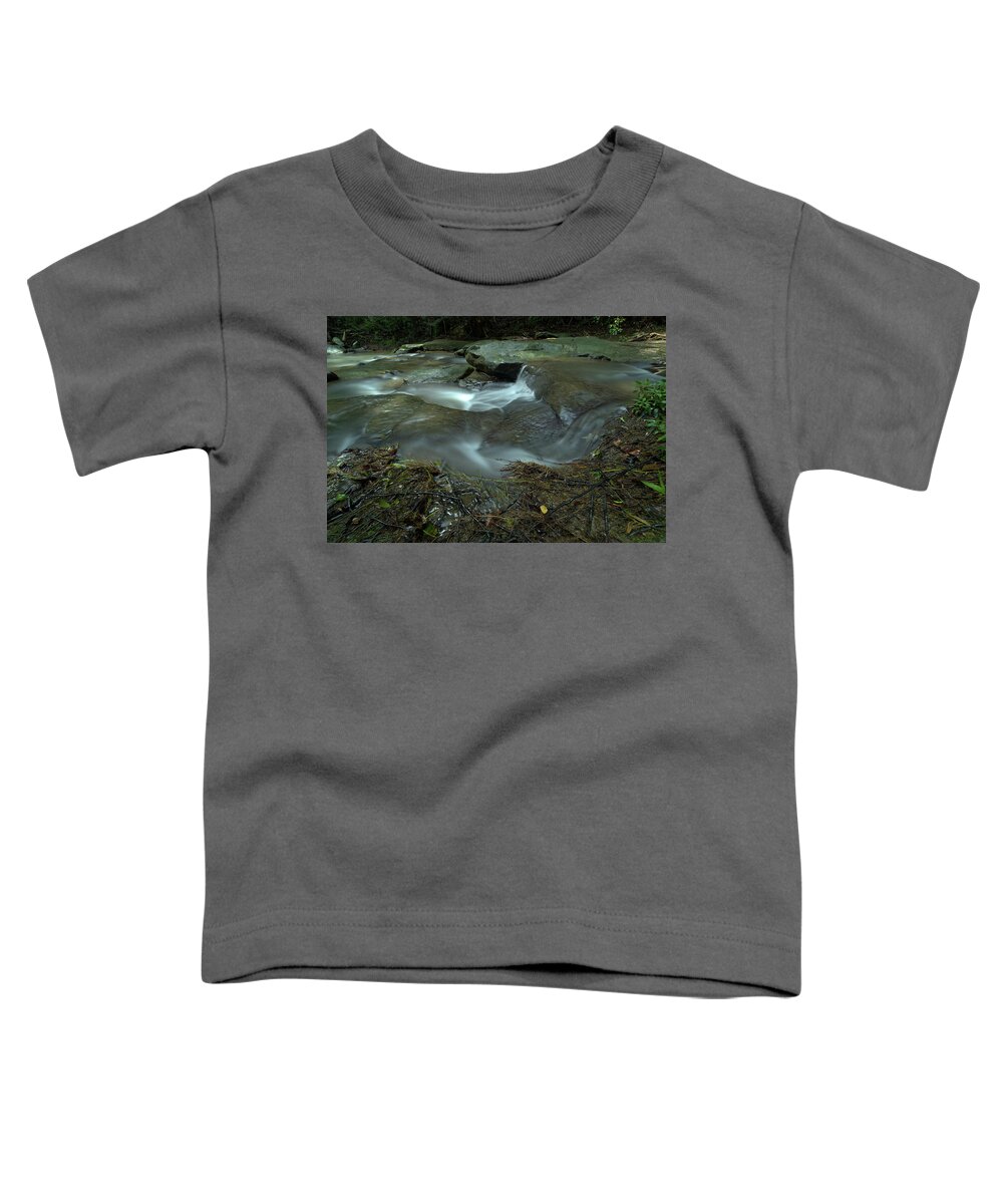 Sunshine-coast Toddler T-Shirt featuring the photograph 1904buderim6 by Nicolas Lombard