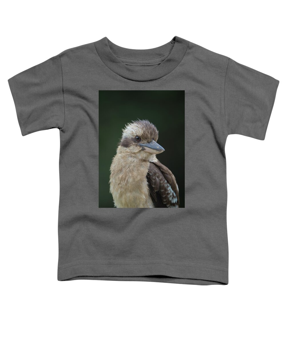 Kookaburra Toddler T-Shirt featuring the photograph 1904kooka1 by Nicolas Lombard