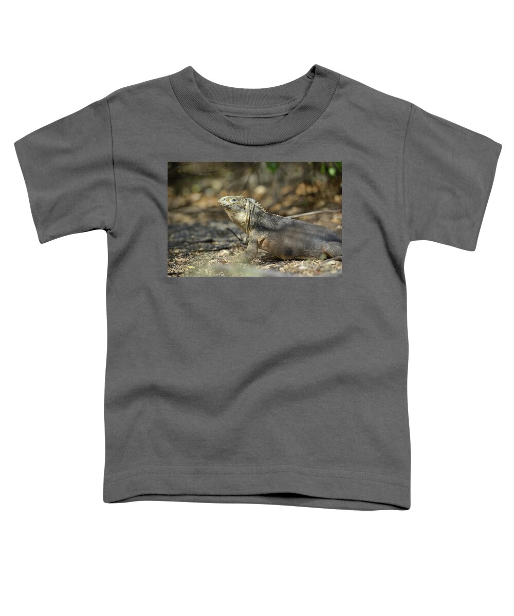 Republic Of Ecuador Toddler T-Shirt featuring the photograph Galapagos land iguana, Conolophus subcristatus, Urbina Bay, Isabela Island, Galapagos Islands, Ecuador #2 by Kevin Oke