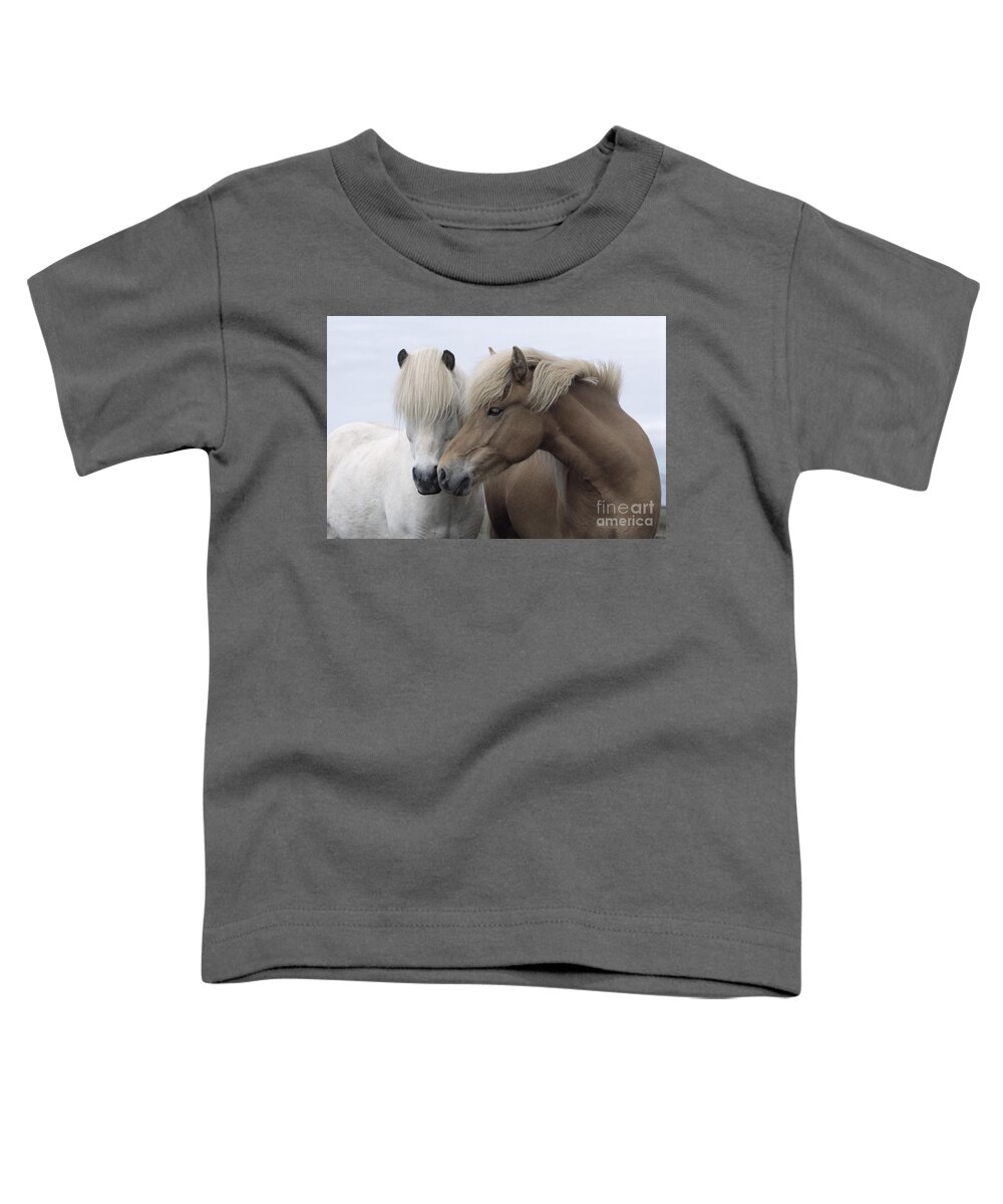 Affection Toddler T-Shirt featuring the photograph Icelandic Horses by John Daniels
