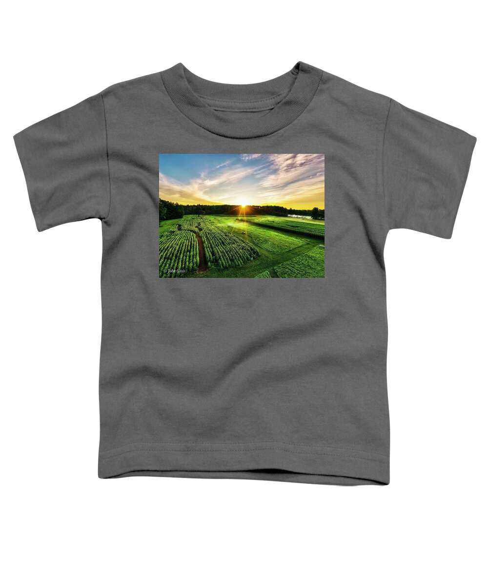  Toddler T-Shirt featuring the photograph Sunflowers #2 by John Gisis