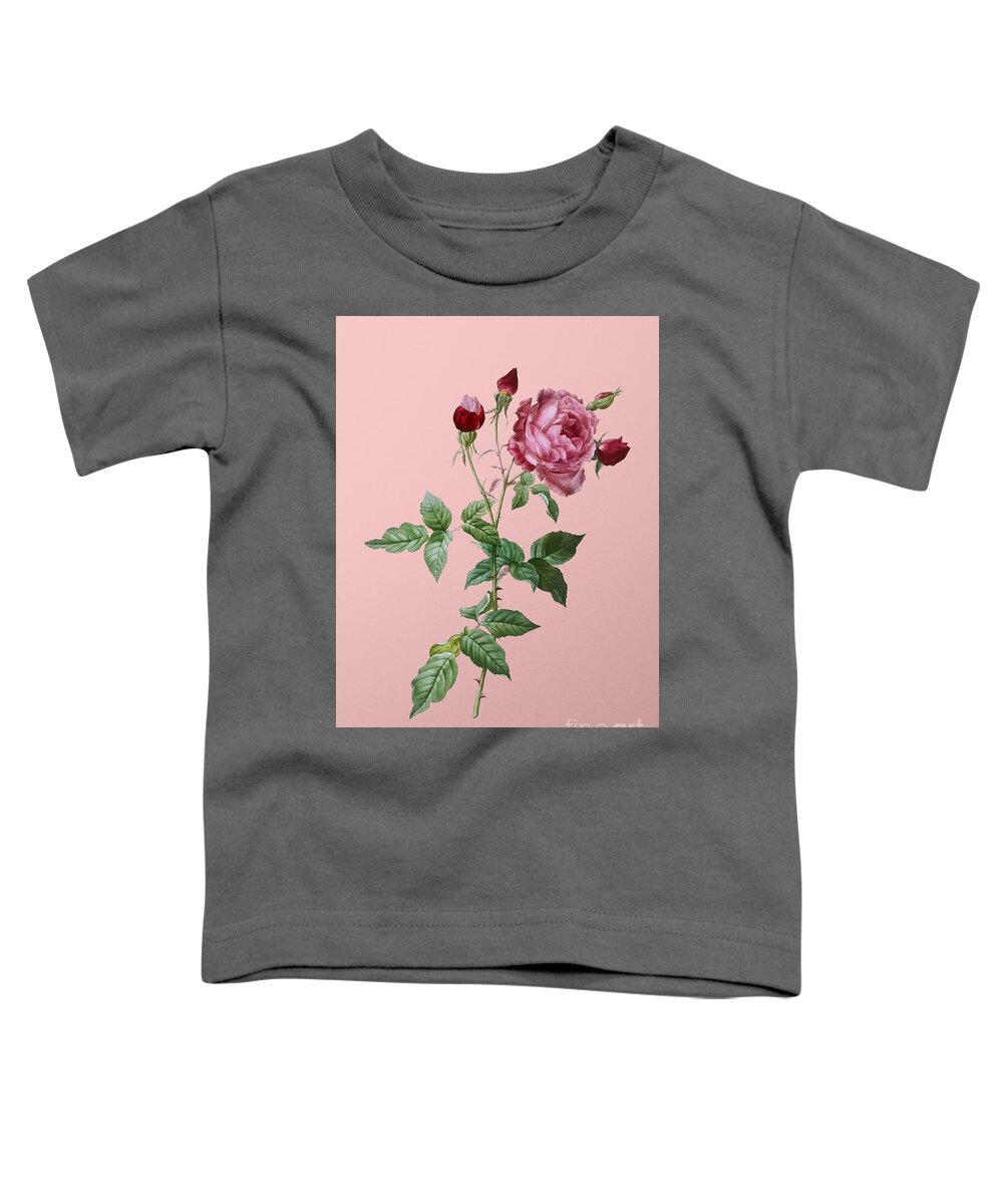 Holyrockarts Toddler T-Shirt featuring the painting Vintage Provence Rose Botanical Illustration on Pink #3 by Holy Rock Design