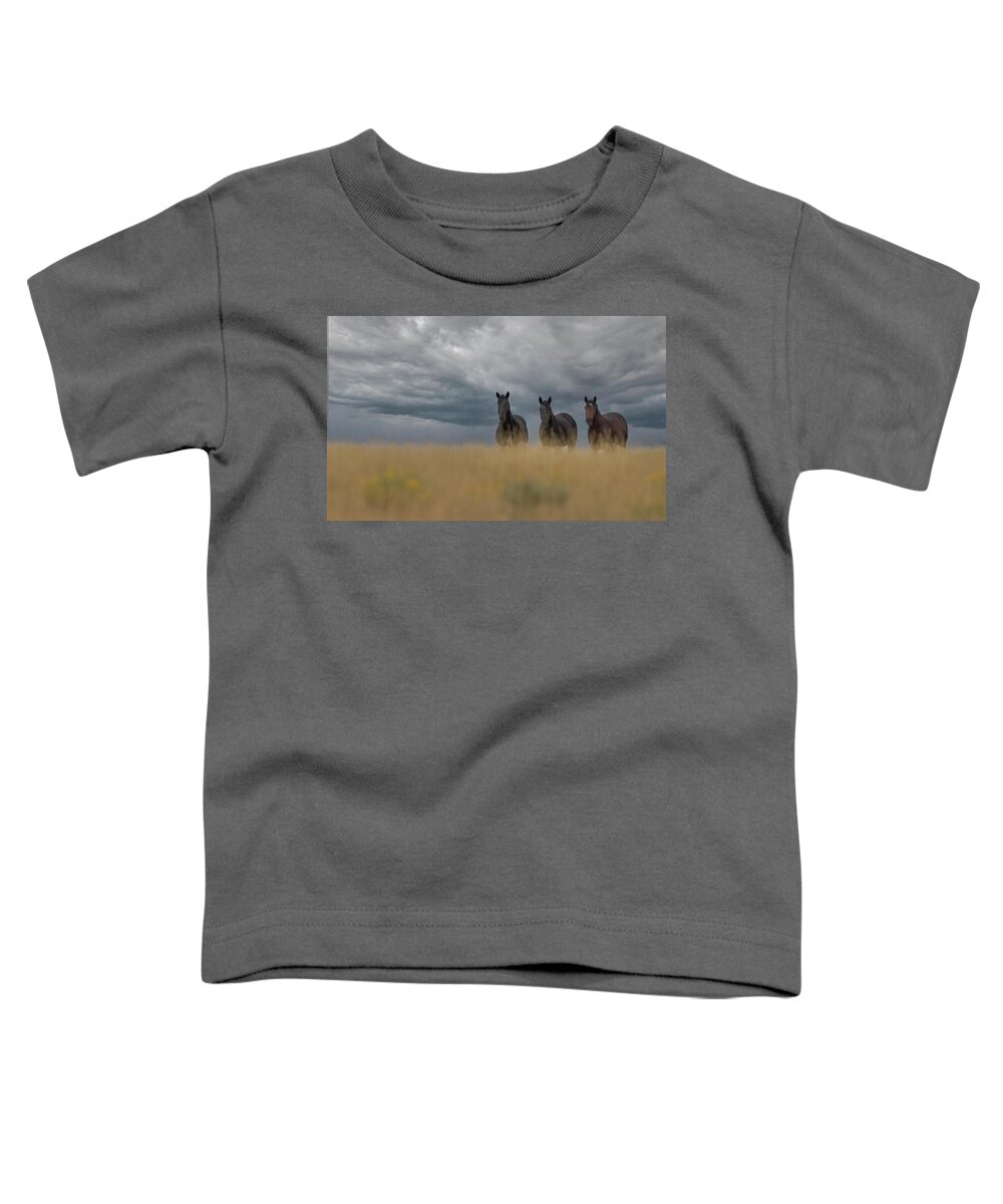 Horse Toddler T-Shirt featuring the photograph Wild Horses #2 by Laura Terriere