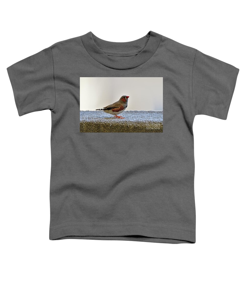 Zebra Finch Toddler T-Shirt featuring the photograph Wild Zebra Finch #2 by Amazing Action Photo Video