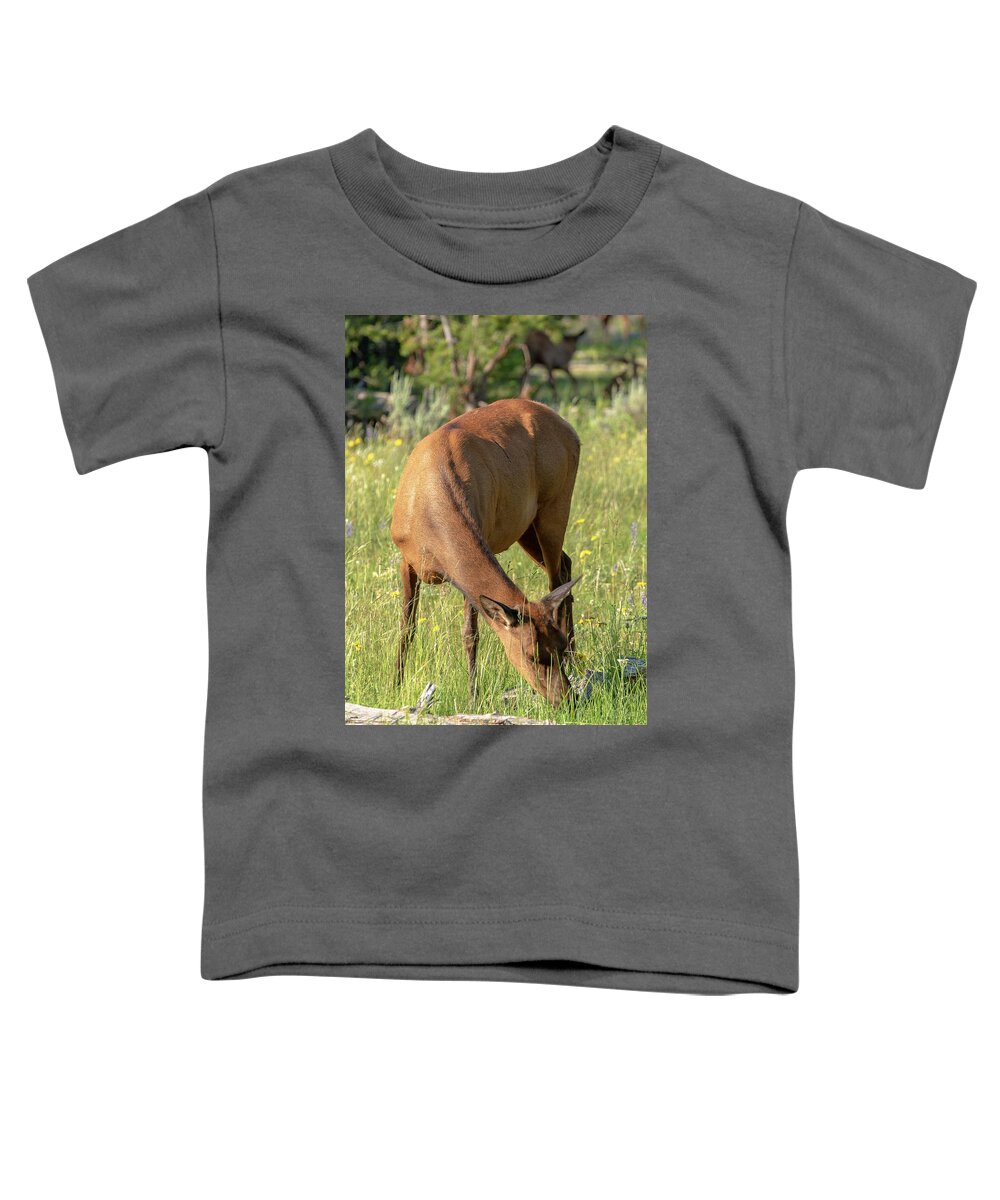 Elk Toddler T-Shirt featuring the photograph 2018 Elk- 4 by Tara Krauss