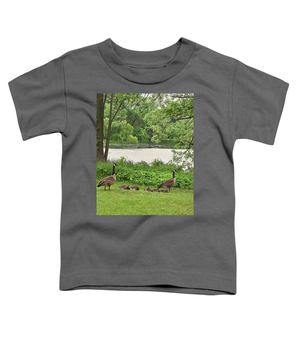 Canadian Geese Toddler T-Shirt featuring the photograph 2022 Geese and Goslings Visiting the Basin by Janis Senungetuk