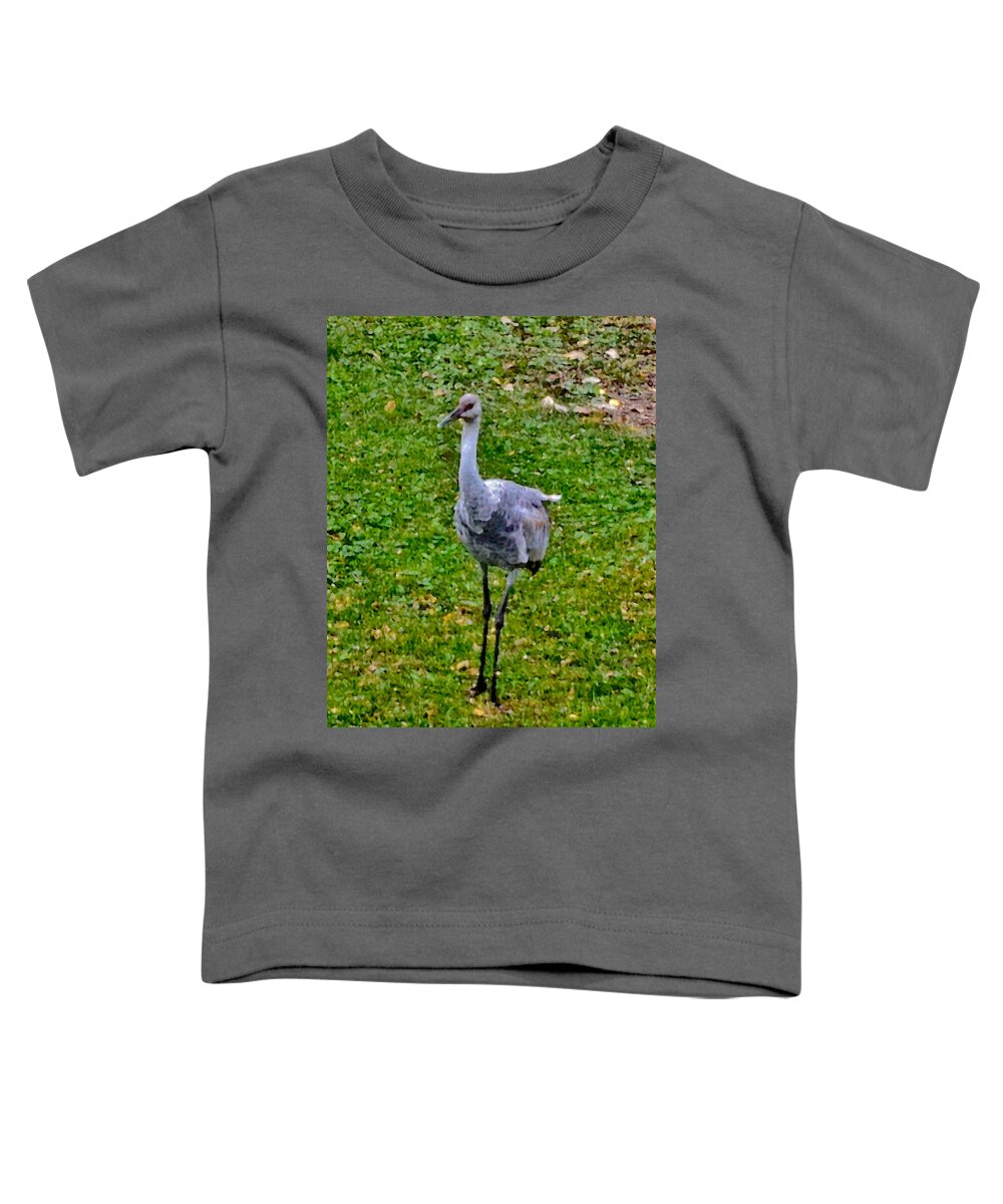 Sandhill Crane Toddler T-Shirt featuring the photograph 2022 Mid-October at Acewood Basin Colt by Janis Senungetuk