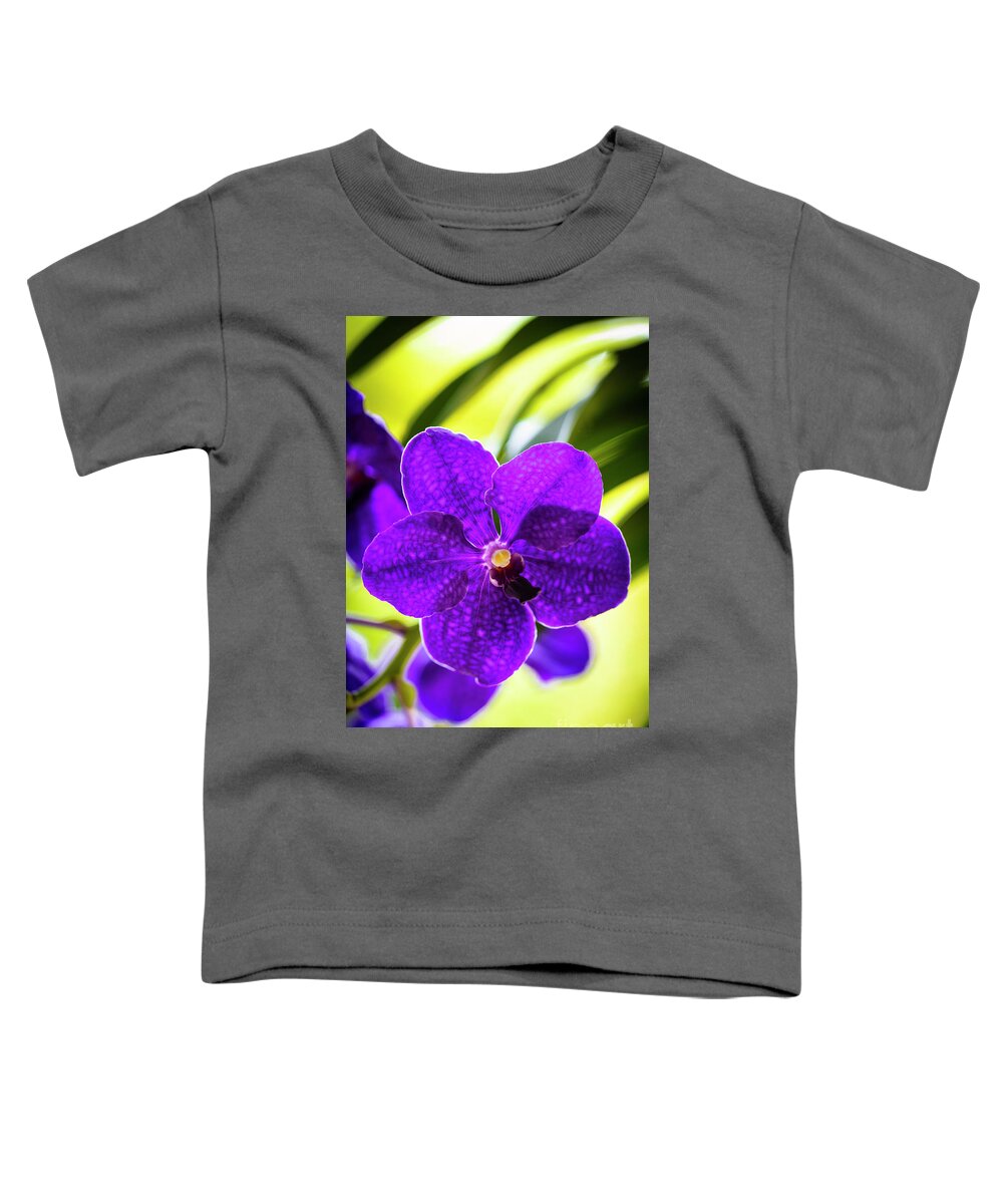 Background Toddler T-Shirt featuring the photograph Purple Orchid Flowers #28 by Raul Rodriguez