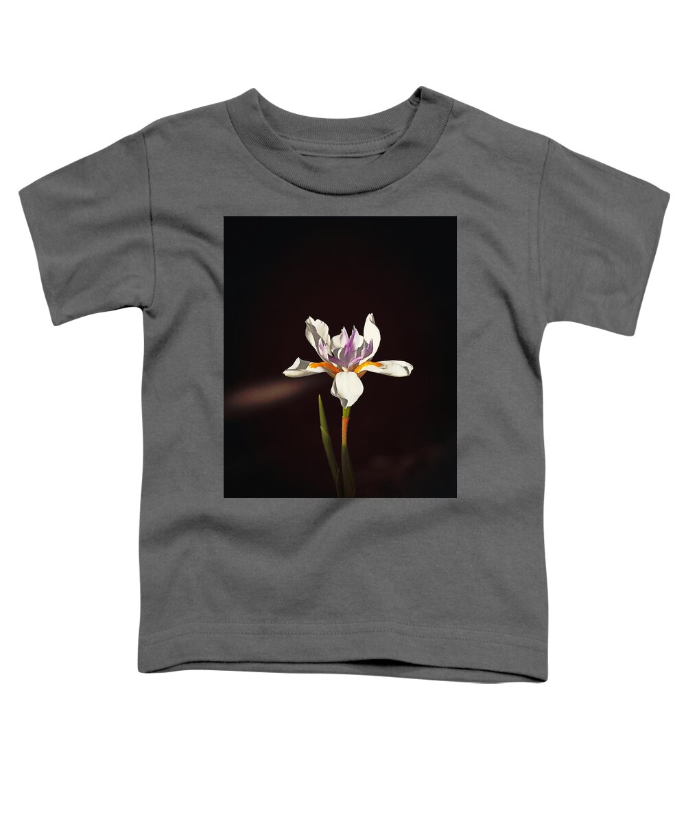 Botanical Toddler T-Shirt featuring the photograph Day Lily #3 by Richard Thomas