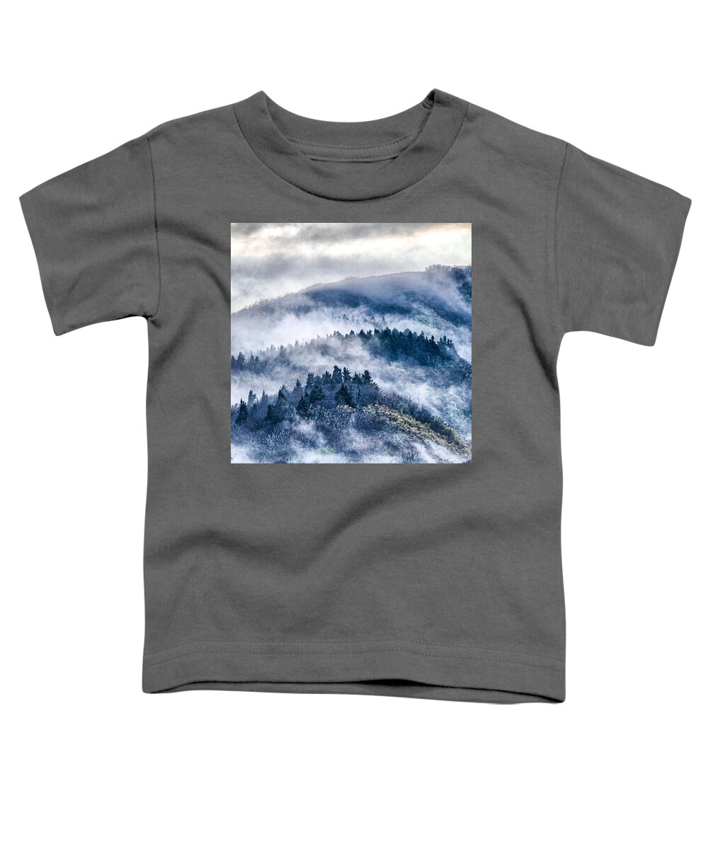 Cowee Toddler T-Shirt featuring the photograph Early morning sunrise over blue ridge mountains #3 by Alex Grichenko