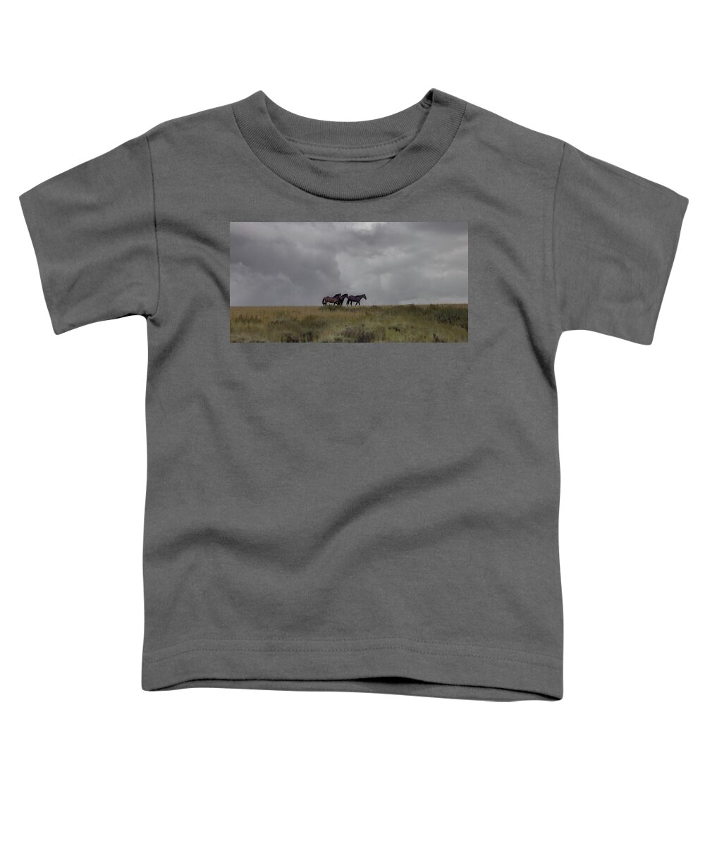 Horse Toddler T-Shirt featuring the photograph Wild Horses #3 by Laura Terriere