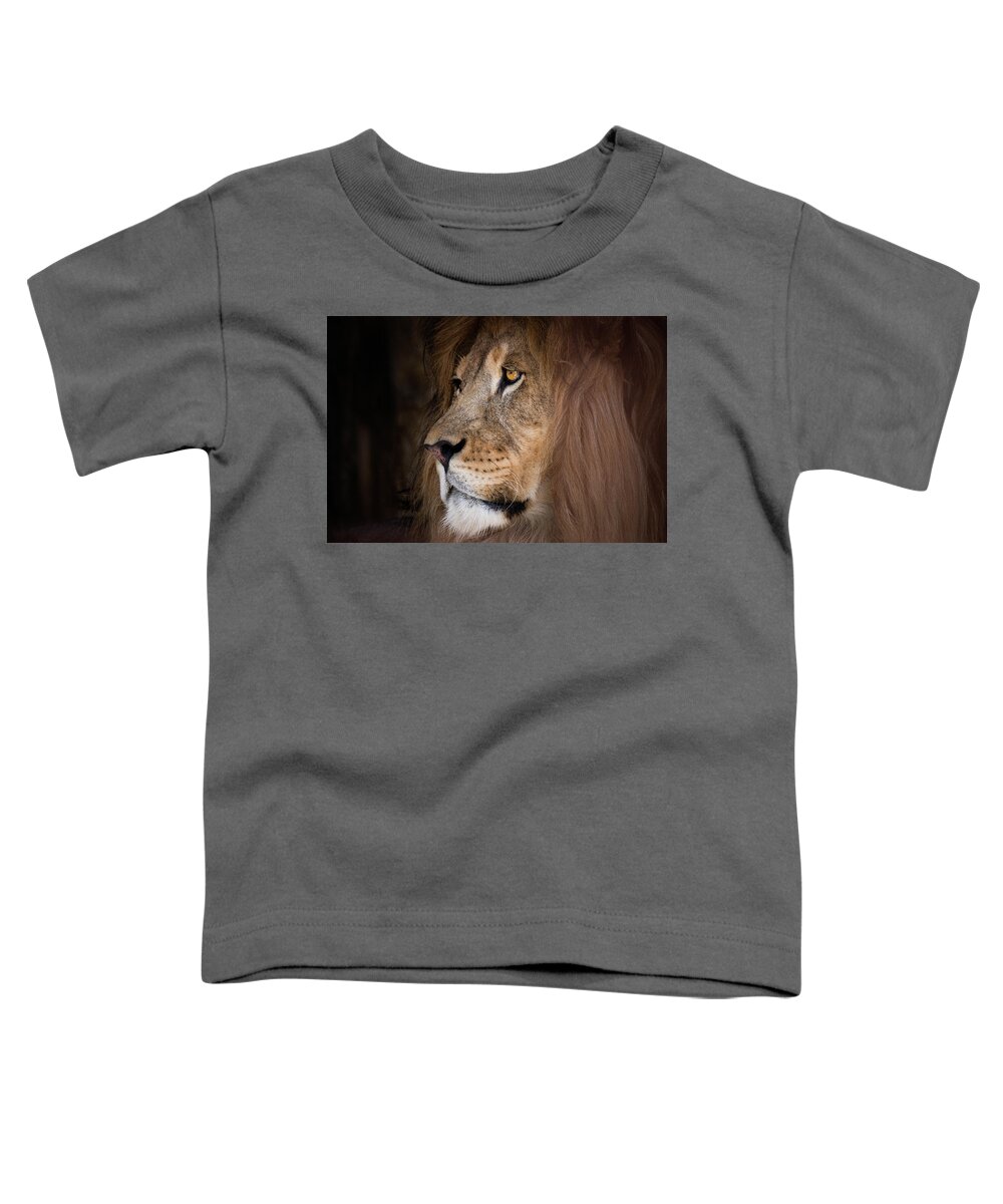Lion Toddler T-Shirt featuring the photograph What Else Is There by Rose Guinther