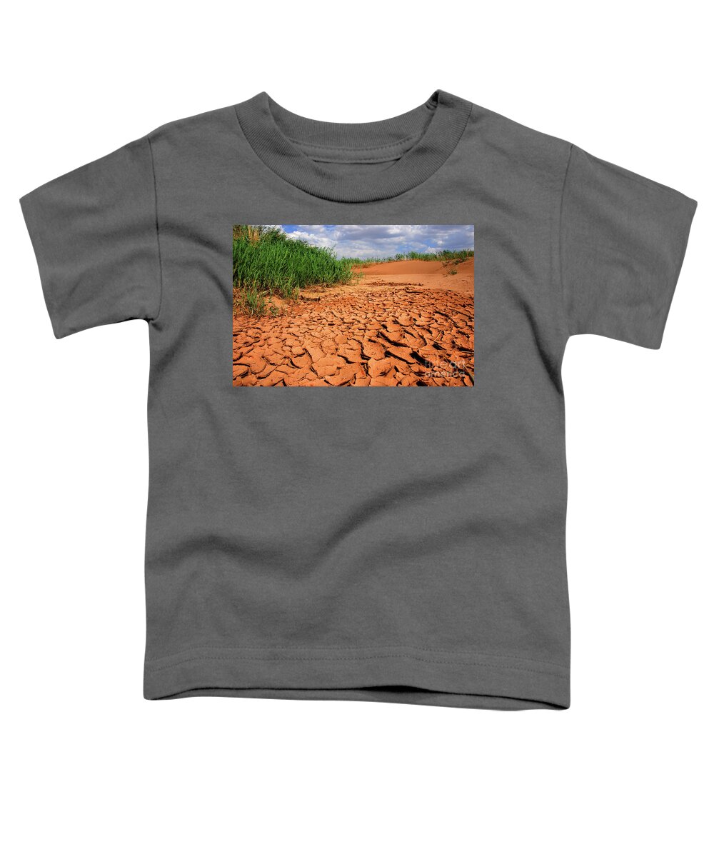 Colors Of Gobi Desert Toddler T-Shirt featuring the photograph Colors of Gobi desert #4 by Elbegzaya Lkhagvasuren