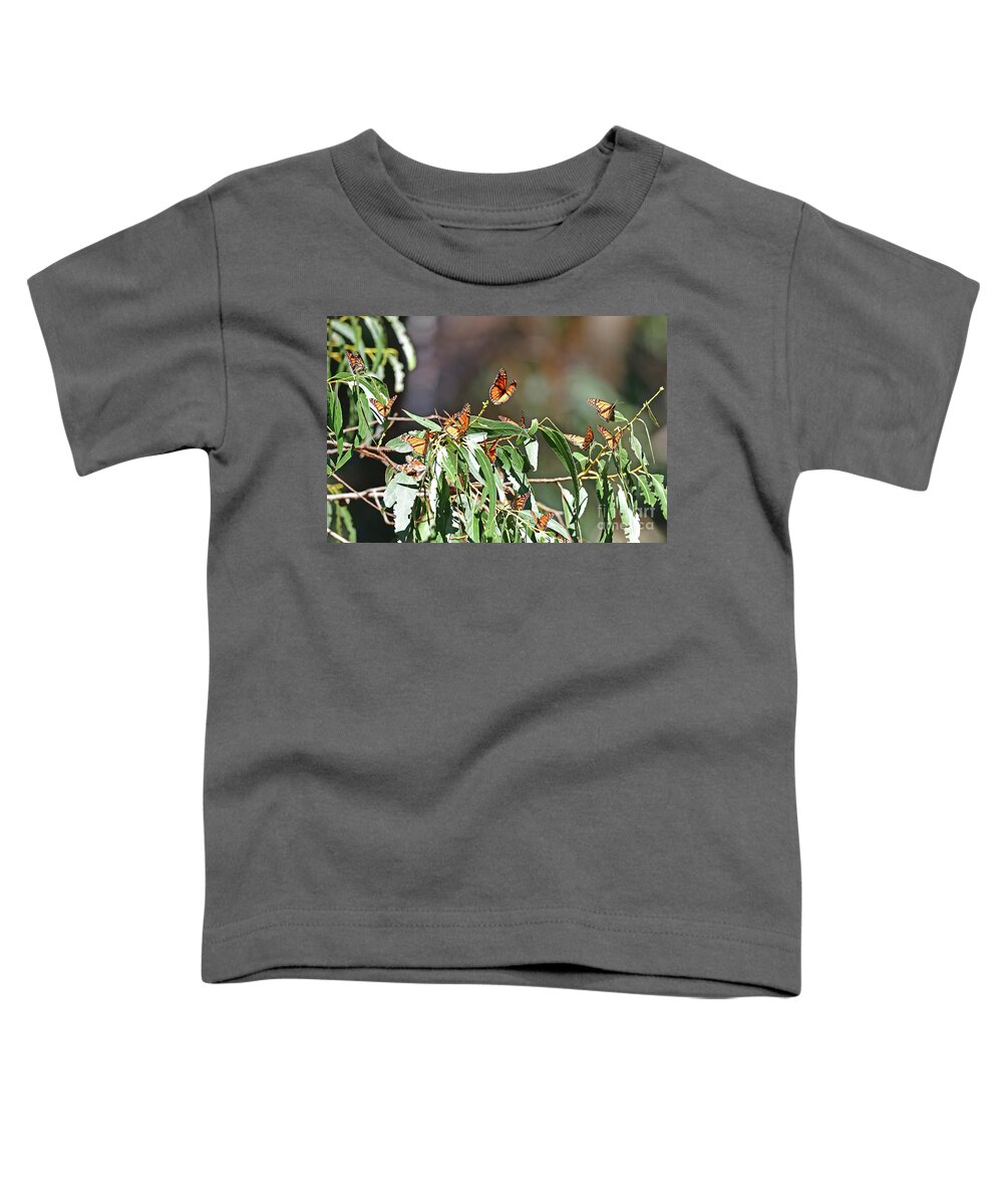 Monarch Toddler T-Shirt featuring the photograph Monarch Butterfly #4 by Amazing Action Photo Video