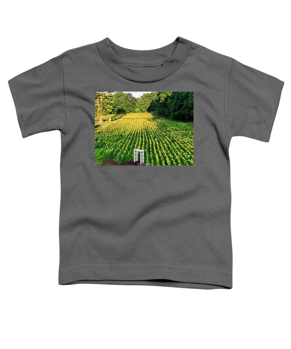  Toddler T-Shirt featuring the photograph Sunflowers #4 by John Gisis