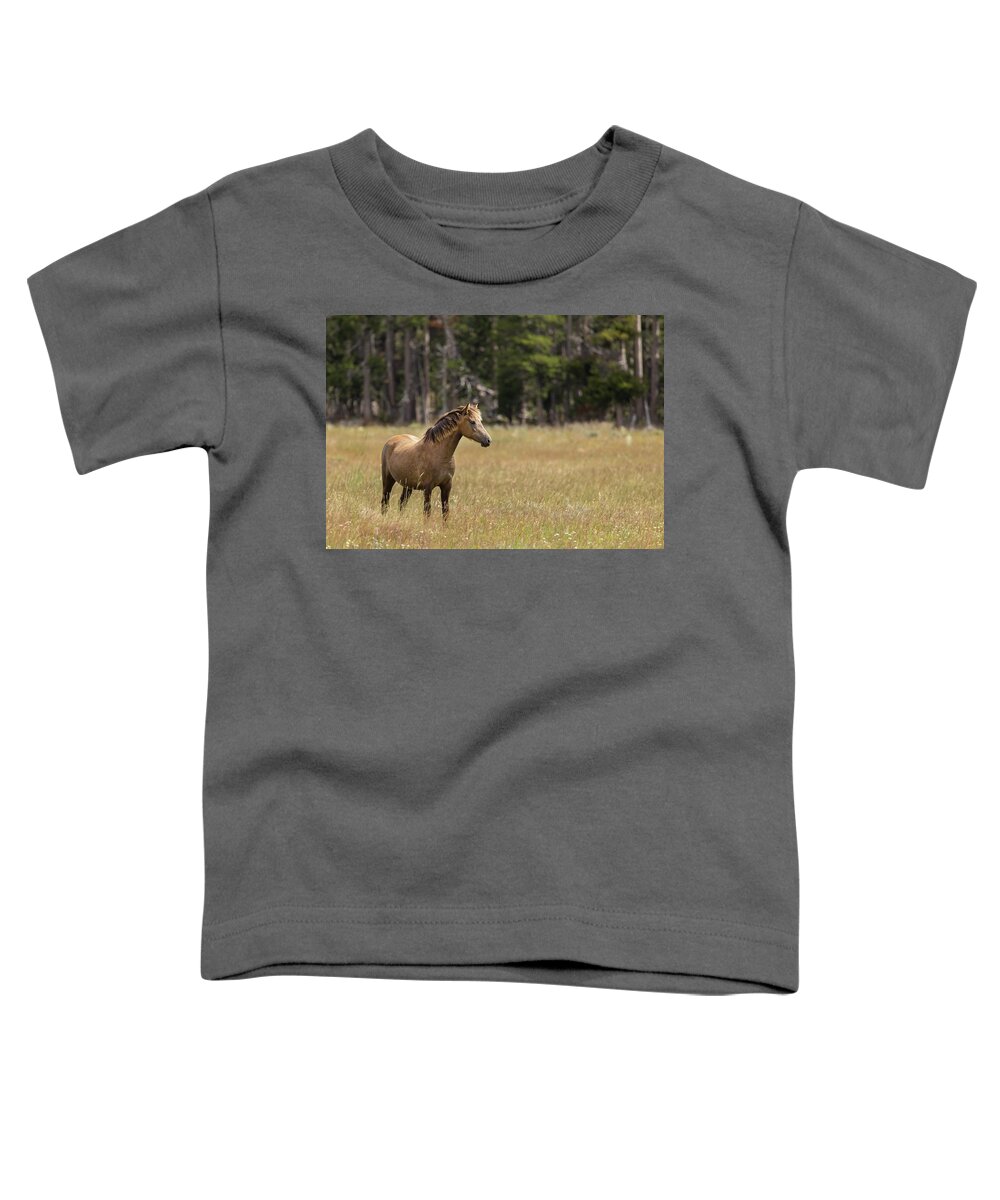 Horse Toddler T-Shirt featuring the photograph Wild Horses #47 by Laura Terriere
