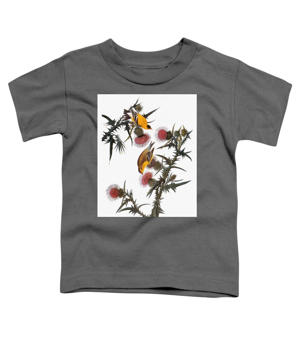 1838 Toddler T-Shirt featuring the drawing American Goldfinch #5 by John James Audubon
