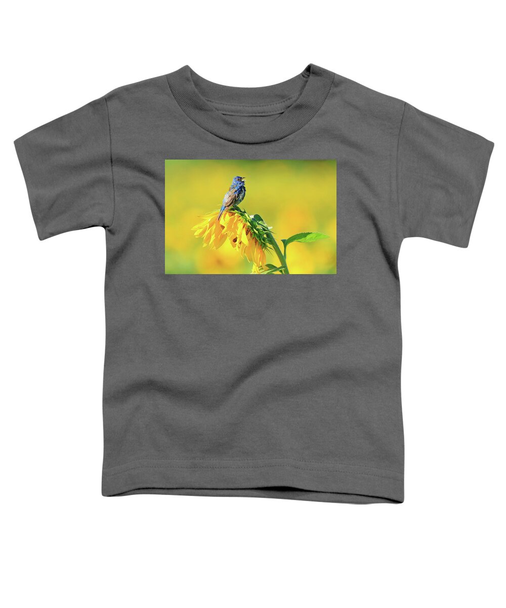 Indigo Bunting Toddler T-Shirt featuring the photograph An Indigo Bunting Perched on a Sunflower #5 by Shixing Wen