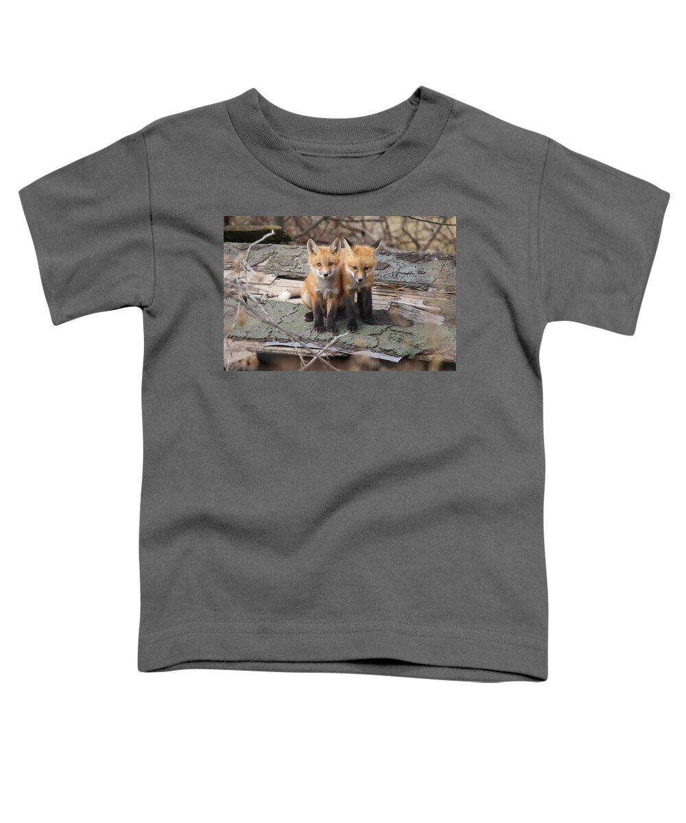 Fox Toddler T-Shirt featuring the photograph Fox Kits #5 by Brook Burling