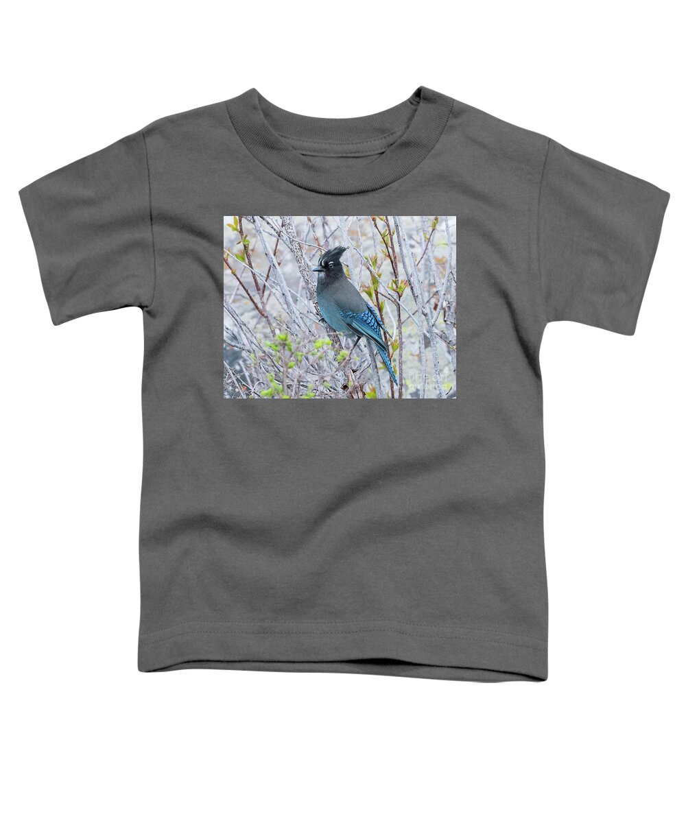 Bird Toddler T-Shirt featuring the photograph Steller's Jay #5 by Dennis Hammer