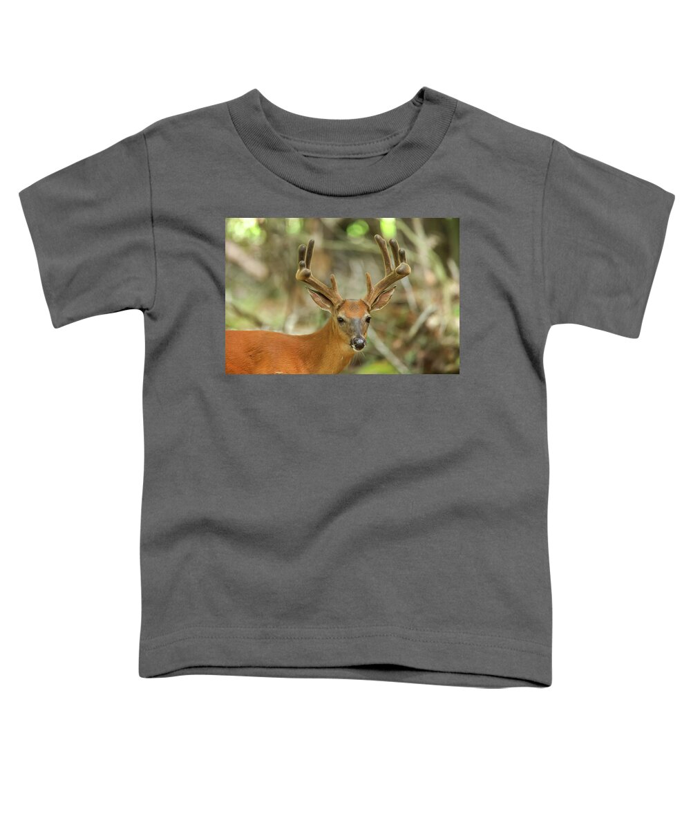 Whitetail Buck Toddler T-Shirt featuring the photograph Whitetail Buck #51 by Brook Burling