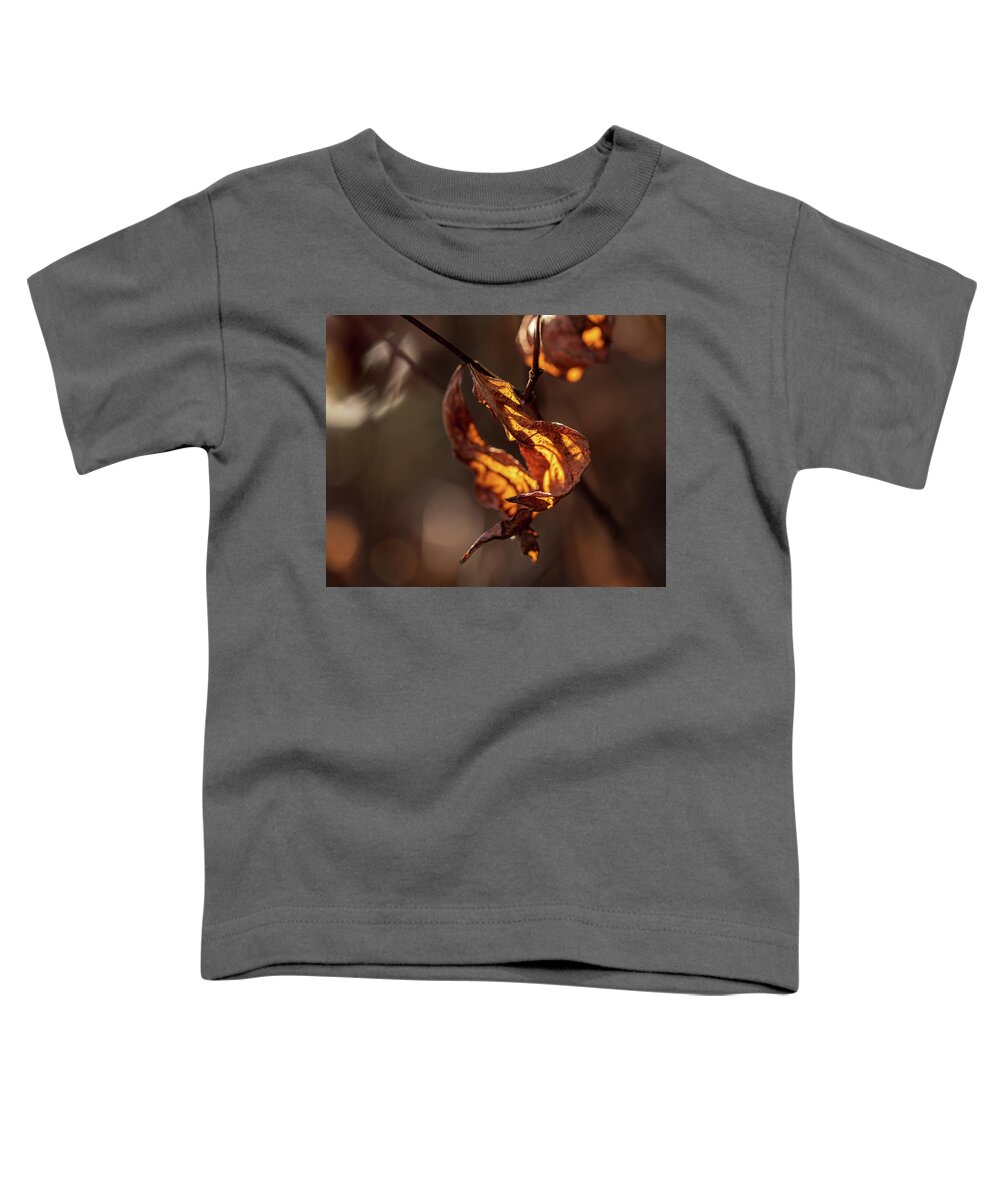 Landscape Toddler T-Shirt featuring the photograph Nature Photography - Fall Leaves by Amelia Pearn