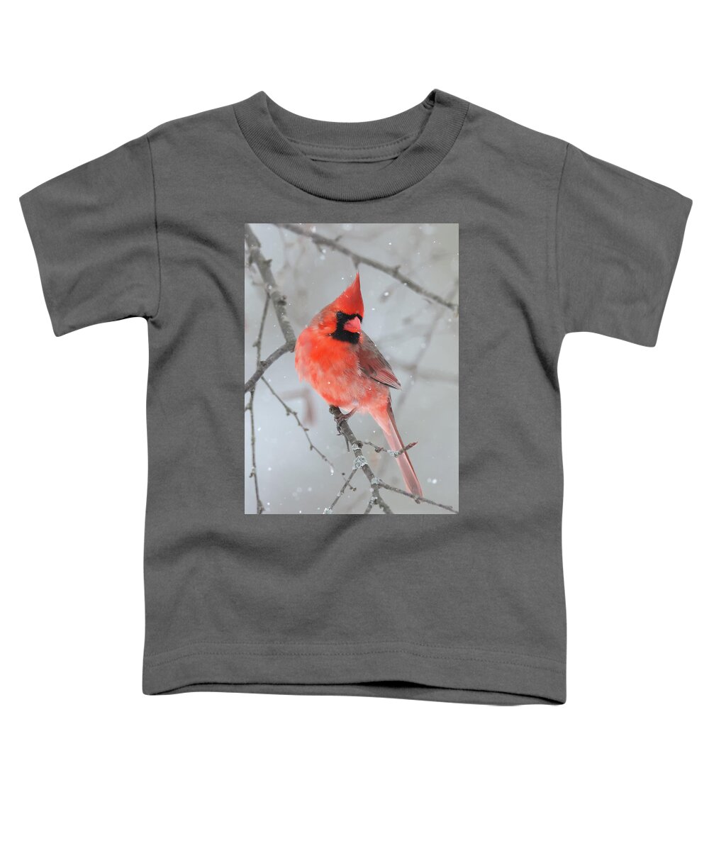 Winter Toddler T-Shirt featuring the photograph Winter Cardinal #7 by Brook Burling