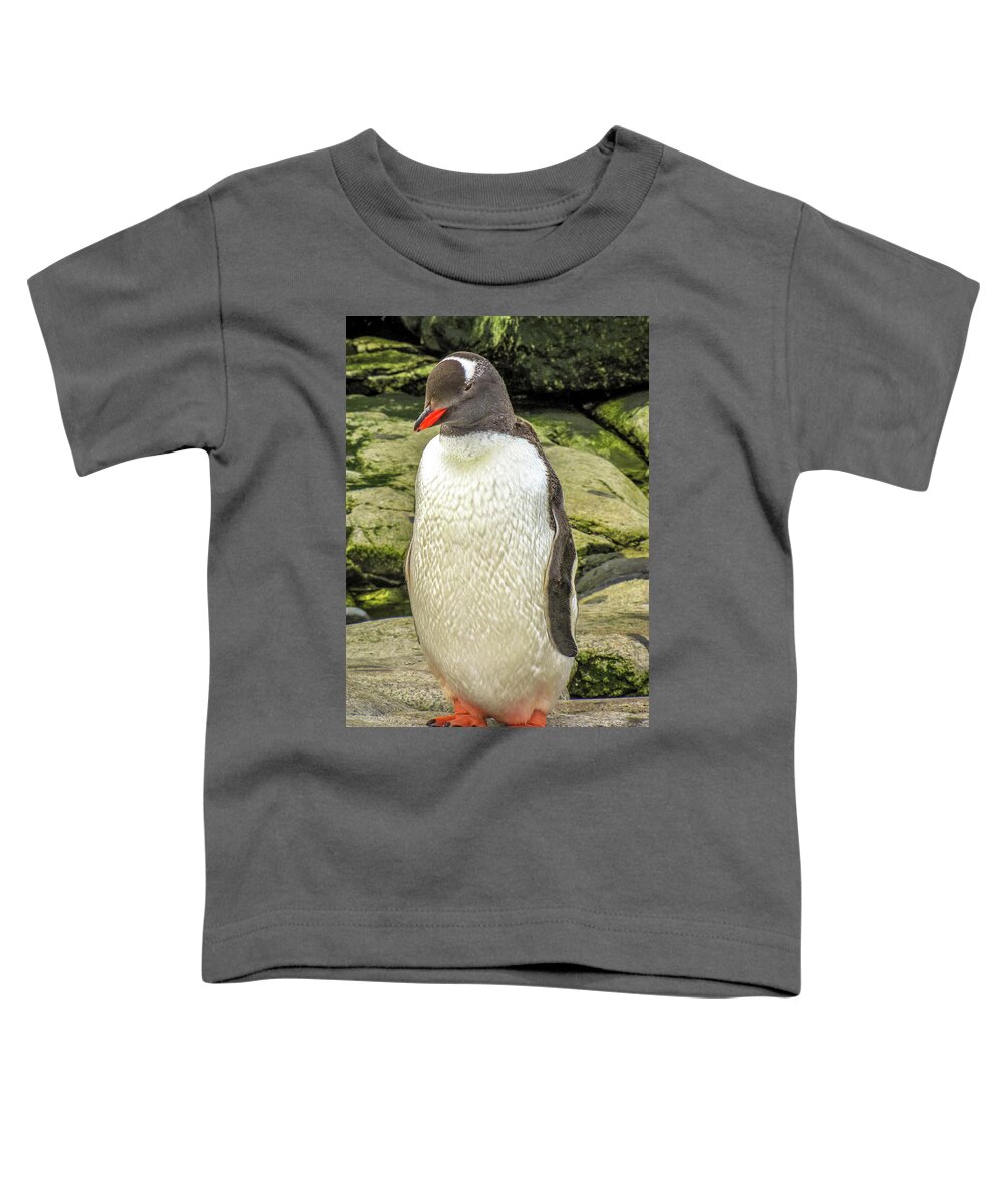 Antarctica Toddler T-Shirt featuring the photograph Antarctica #76 by Paul James Bannerman