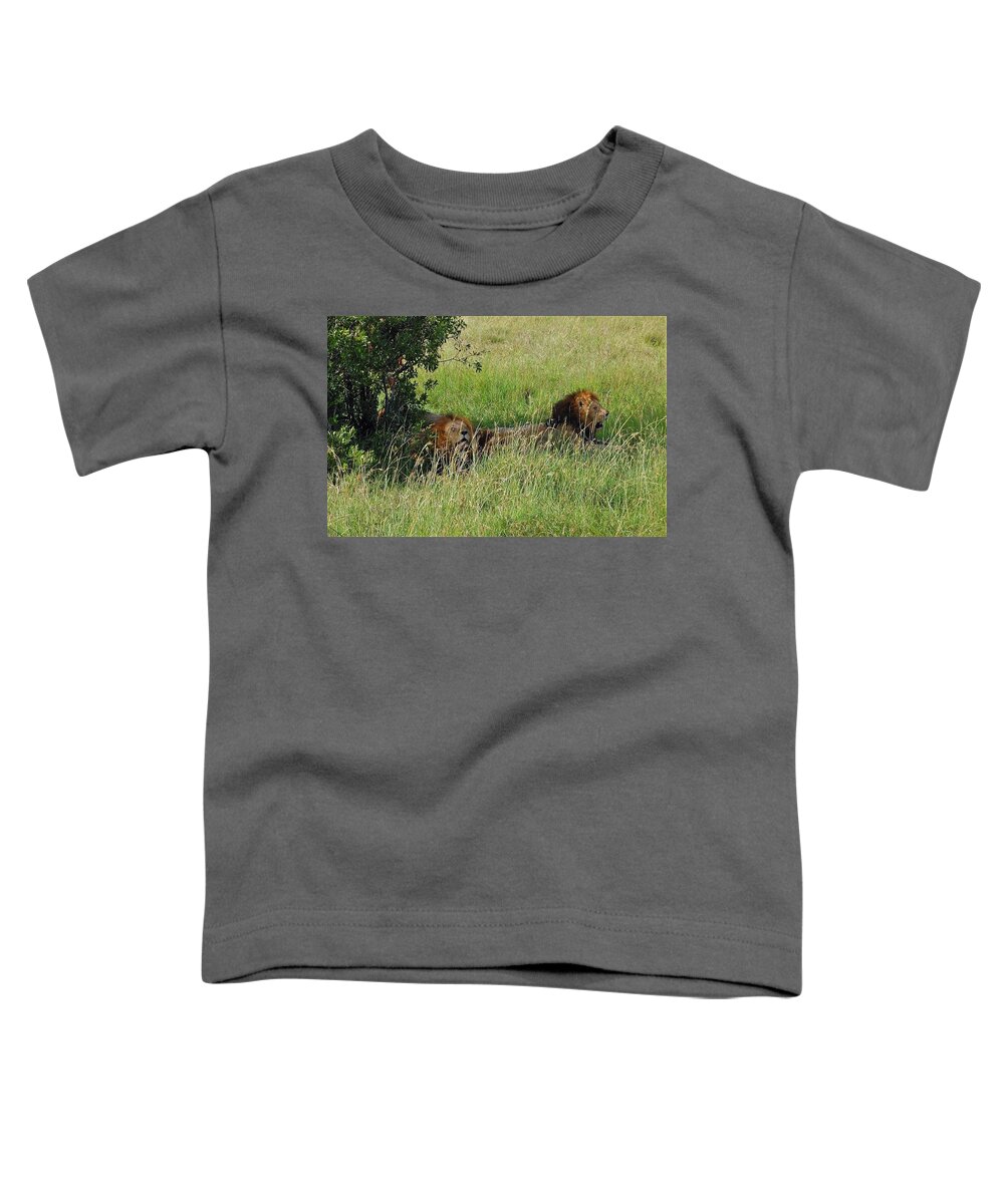  Toddler T-Shirt featuring the photograph 7K by Jay Handler