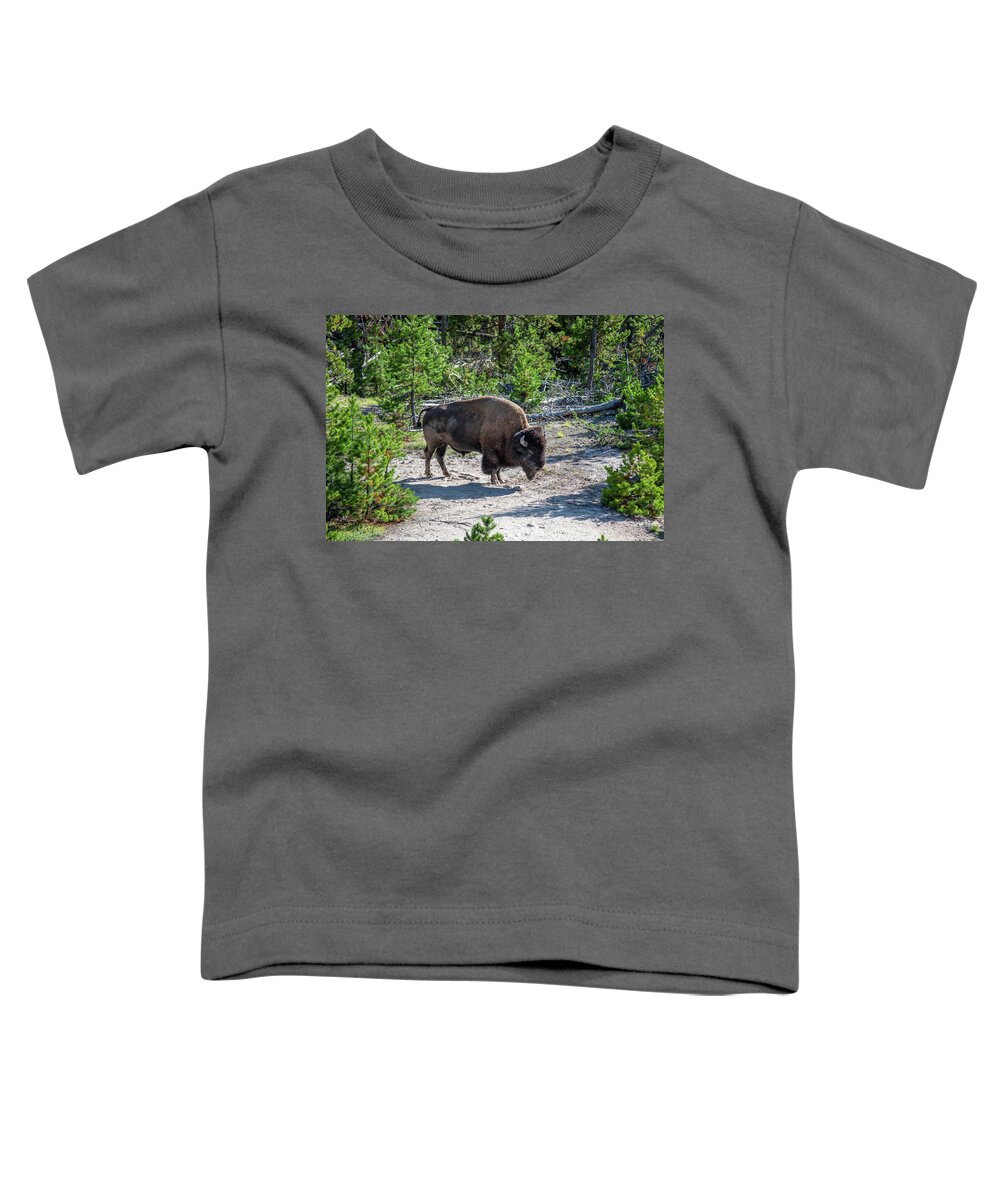 Wild Animals Toddler T-Shirt featuring the photograph Bison Grazing On A Meadow In Yellowstone National Park #8 by Alex Grichenko
