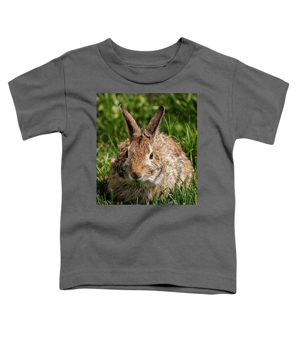 Cottontail Toddler T-Shirt featuring the photograph Eastern Cottontail rabbit #8 by SAURAVphoto Online Store