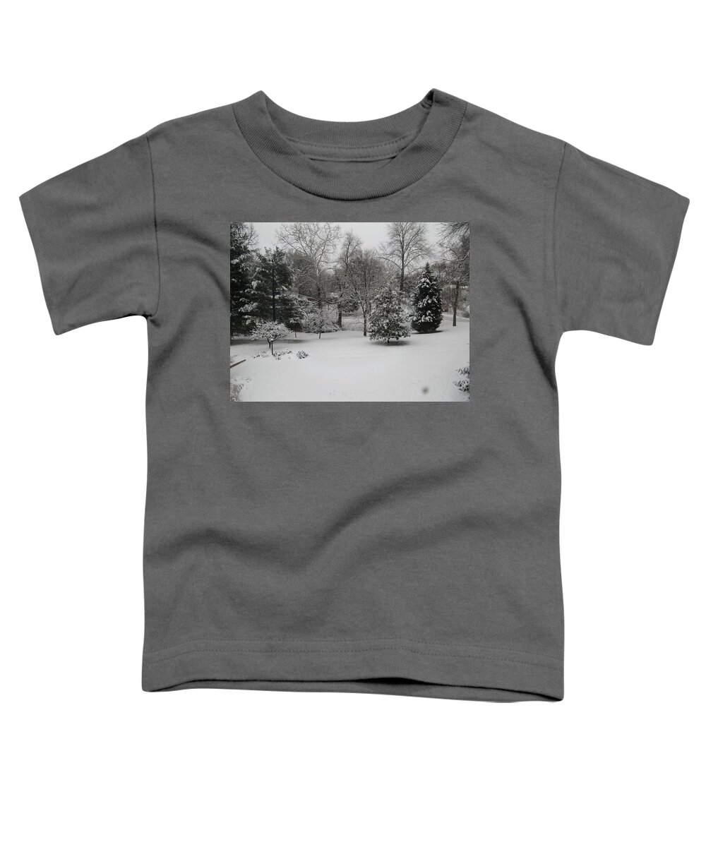 Winter Toddler T-Shirt featuring the photograph A Color Photograph Without Color Almost by Calvin Boyer