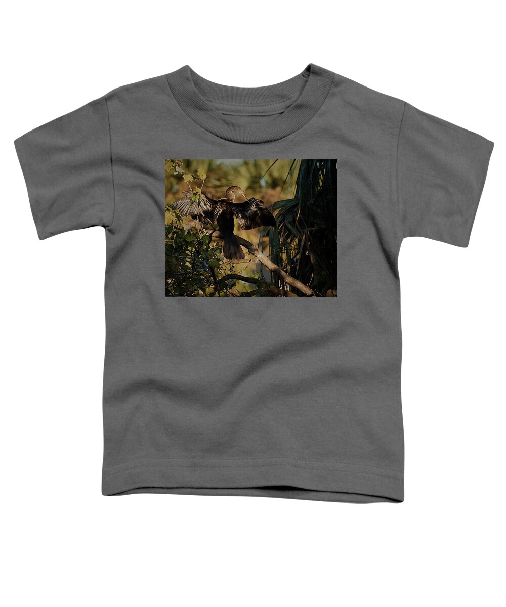 Florida Toddler T-Shirt featuring the photograph A Cormorant Dries its Wings by John Simmons