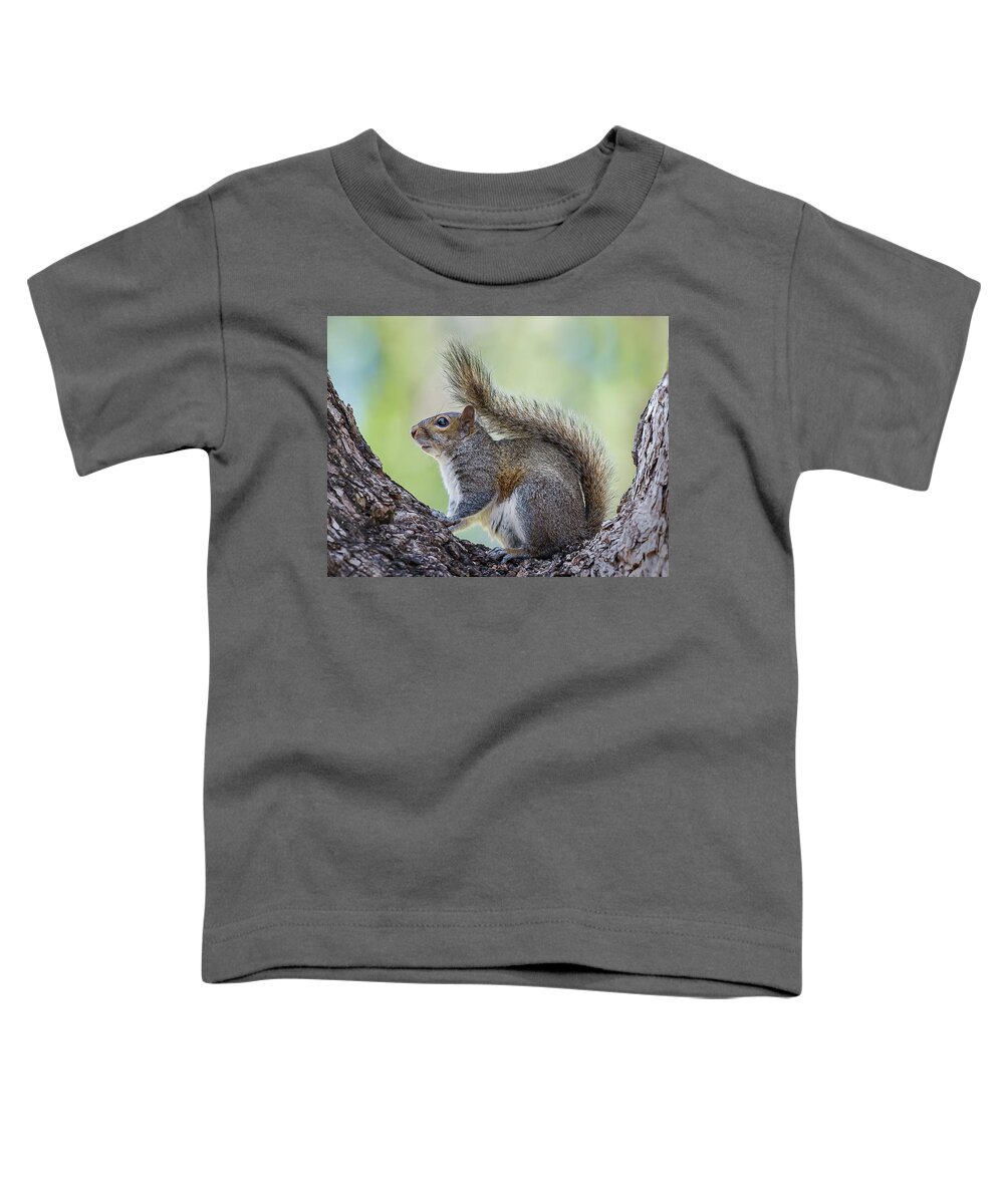 Squirrel Toddler T-Shirt featuring the photograph A Curious Squirrel by Sylvia Goldkranz