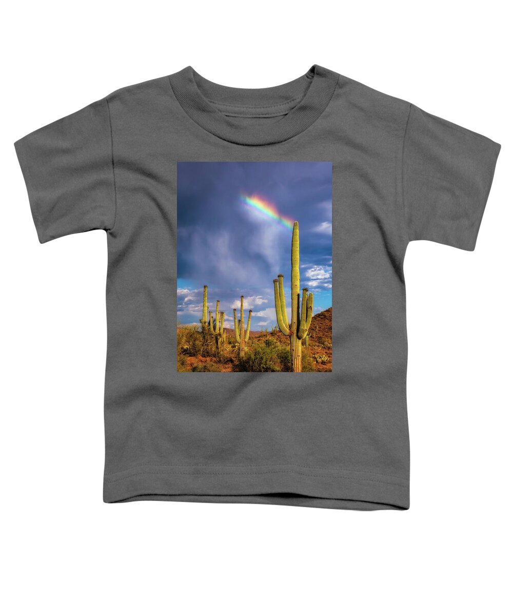 Arizona Toddler T-Shirt featuring the photograph A Divine Touch by Rick Furmanek