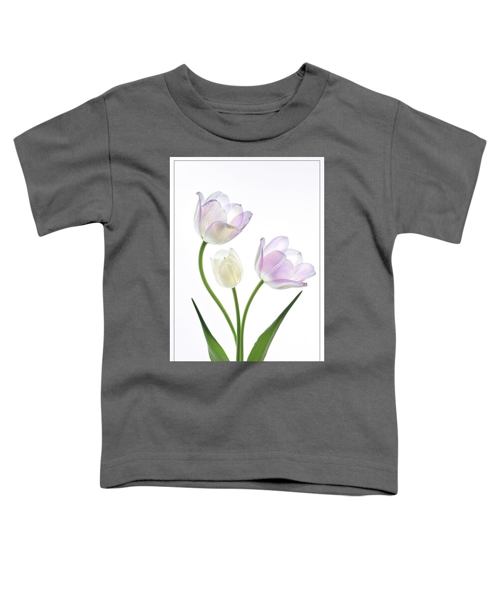 Beautiful Toddler T-Shirt featuring the photograph A Family Affair by Teresa Wilson