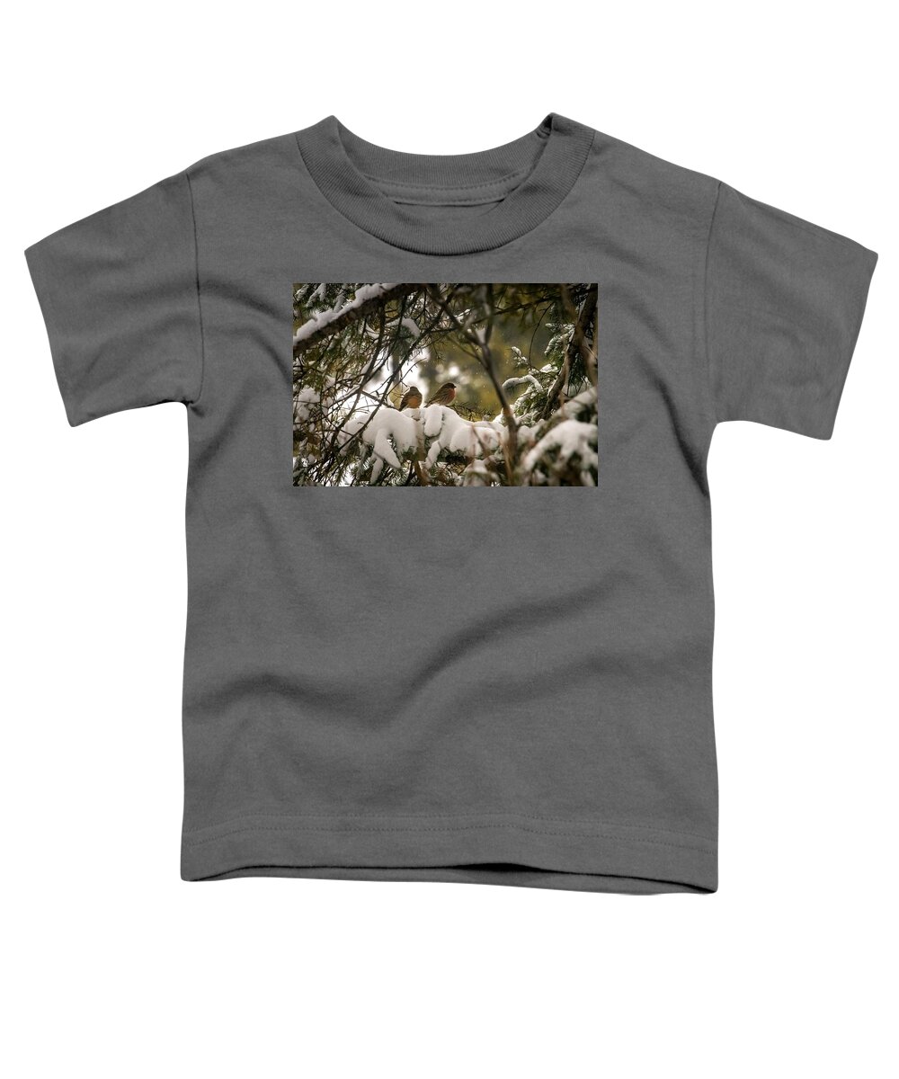 Winter Toddler T-Shirt featuring the photograph A Magical Winter Afternoon by Laura Putman