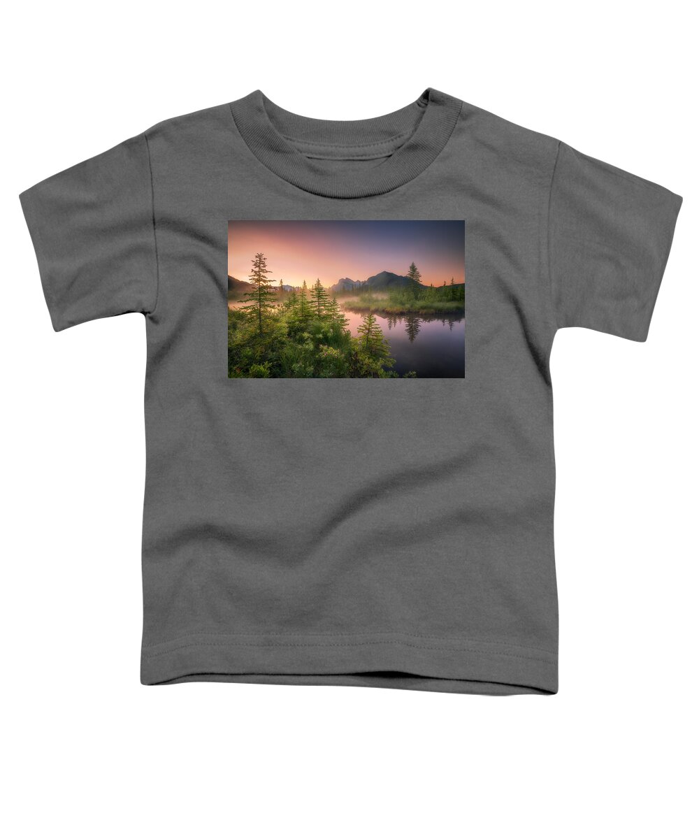 Mist Toddler T-Shirt featuring the photograph A Misty Morning in Mountains by Henry w Liu