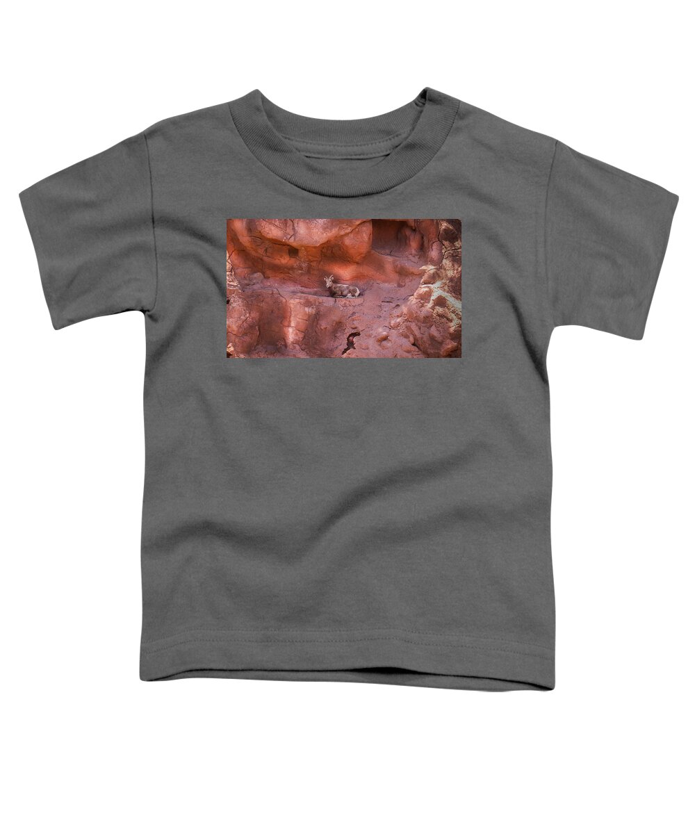 Mountain Goat Toddler T-Shirt featuring the photograph A Peaceful Overlook by Laura Putman