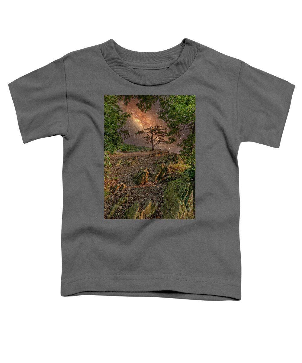 North Carolina Toddler T-Shirt featuring the digital art A Raven by Night fx by Dan Carmichael
