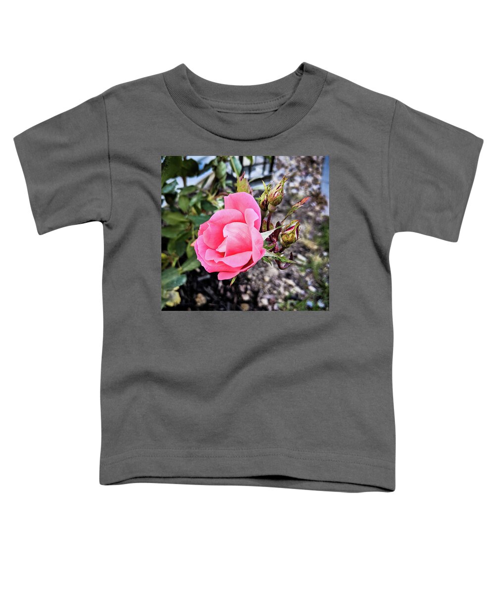 Rose Toddler T-Shirt featuring the photograph A Rose is a Rose by Lee Beuther