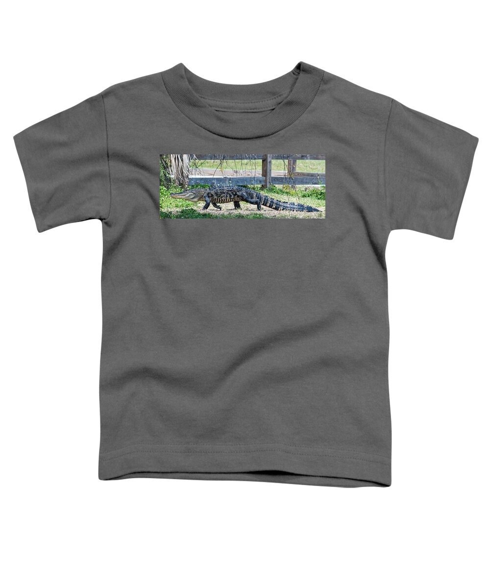 Alligator Toddler T-Shirt featuring the photograph A Stroll Through The Daisies by Susan Molnar