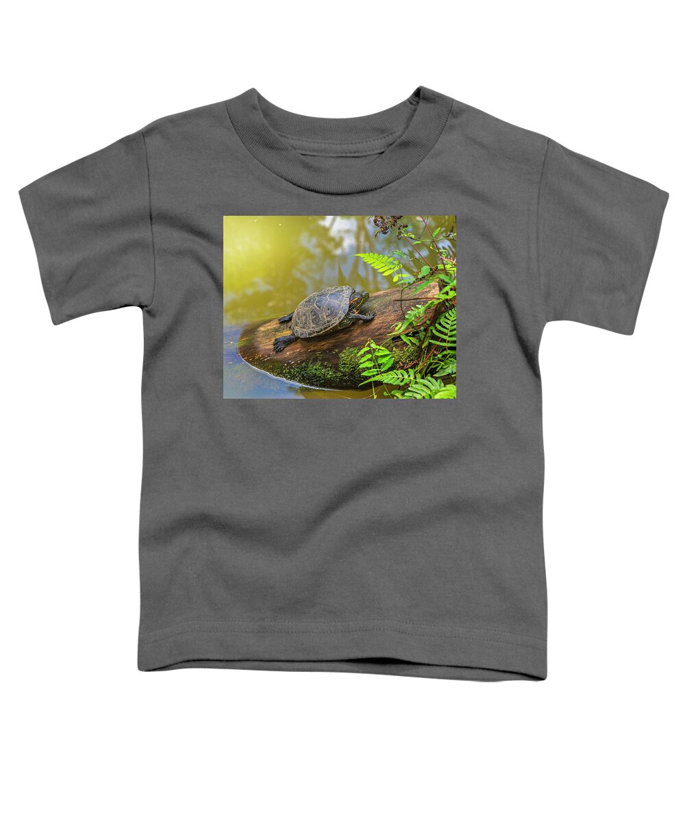 Ahuano Toddler T-Shirt featuring the photograph A terrapin Arrau turtle resting and sunbathing on a log by Henri Leduc