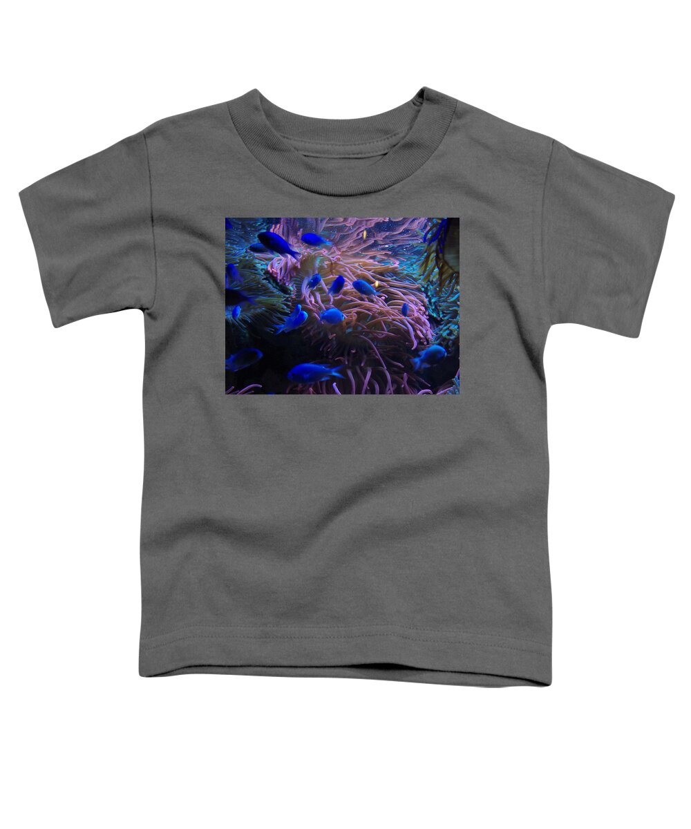 Fish Toddler T-Shirt featuring the photograph A touch of blue by Bess Carter