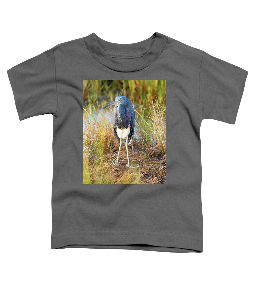 R5-2607 Toddler T-Shirt featuring the photograph A young blue heron by Gordon Elwell