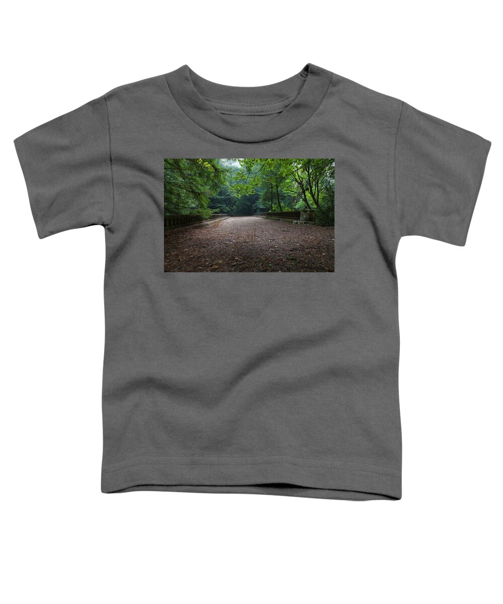 Abandoned Highway Toddler T-Shirt featuring the photograph Abandoned Avenue of the Giants Bridge by Rick Pisio