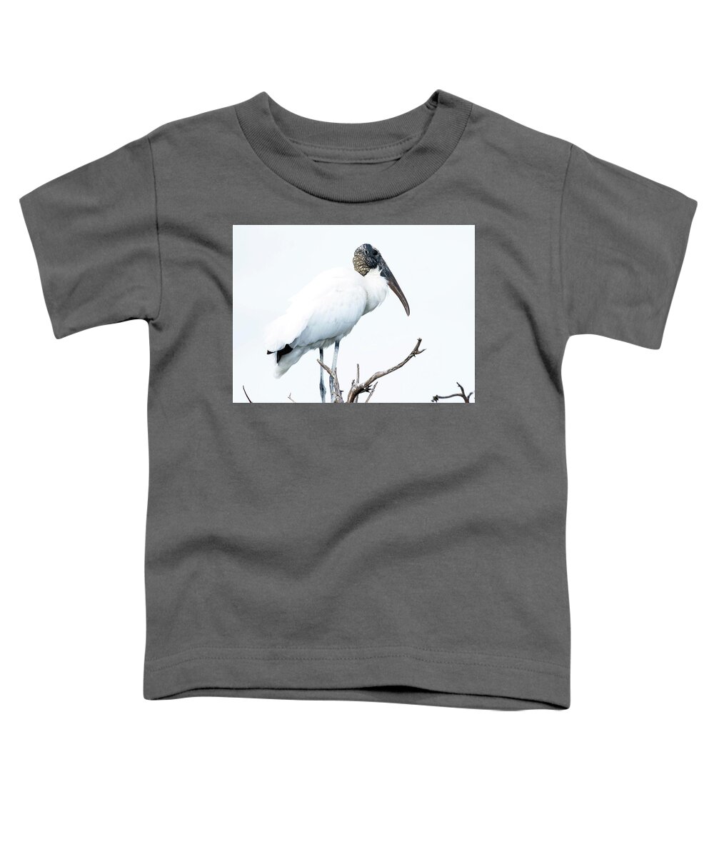 Stork Toddler T-Shirt featuring the photograph Above It All by Rebecca Herranen
