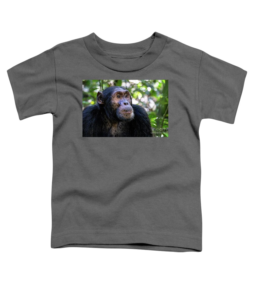 Chimpanzee Toddler T-Shirt featuring the photograph Adult chimpanzee, pan troglodytes, in the tropical rainforest of Kibale National Park, western Uganda. The park conservation programme means that some troupes are habituated. by Jane Rix