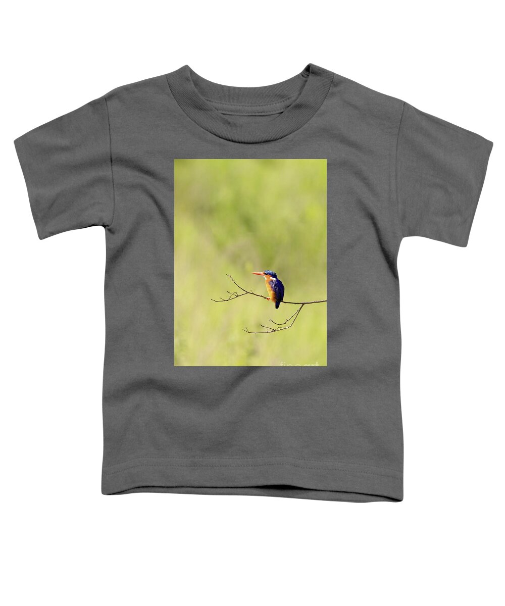 Malachite Toddler T-Shirt featuring the photograph Adult malachite kingfisher, corythornis cristatus, perched on a by Jane Rix